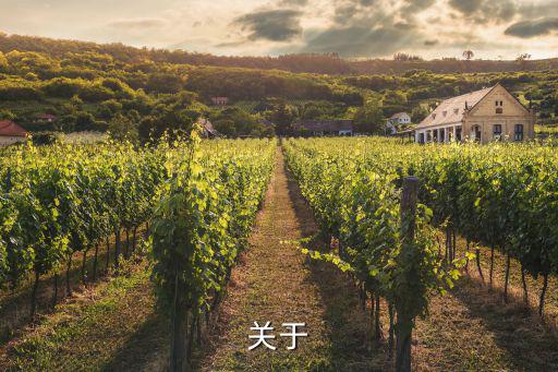 月的古詩(shī),中秋節(jié)的預(yù)兆