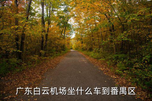 廣東白云機場坐什么車到番禺區