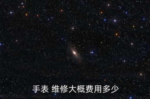  手表 維修大概費用多少