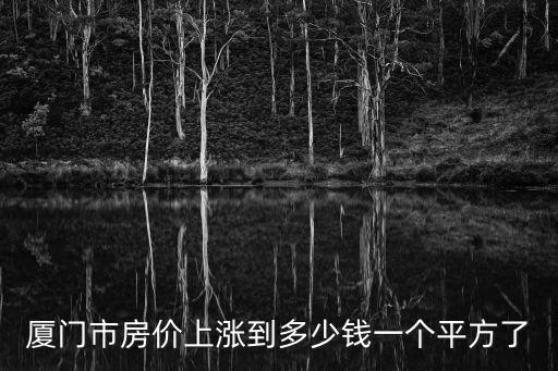 廈門市房價上漲到多少錢一個平方了
