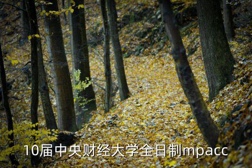 10屆中央財經大學全日制mpacc