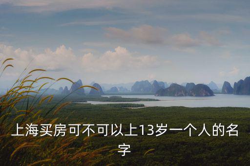 上海買房可不可以上13歲一個人的名字
