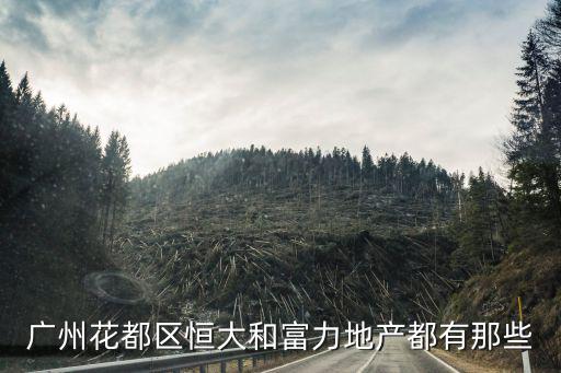 廣州花都區恒大和富力地產都有那些