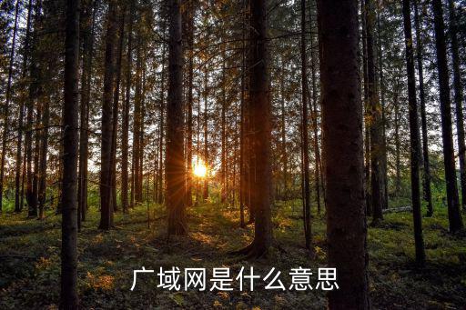  廣域網是什么意思