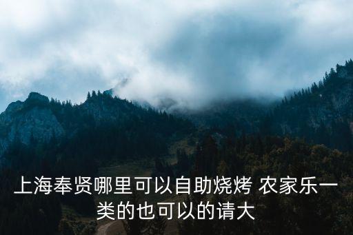 上海奉賢哪里可以自助燒烤 農家樂一類的也可以的請大