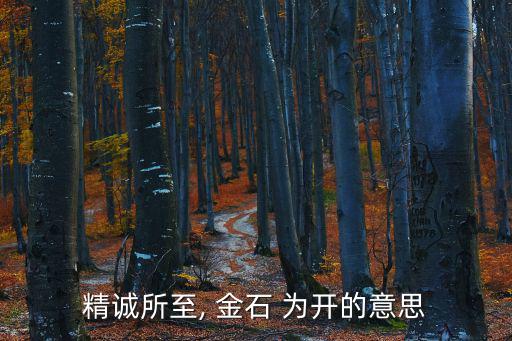 精誠所至, 金石 為開的意思