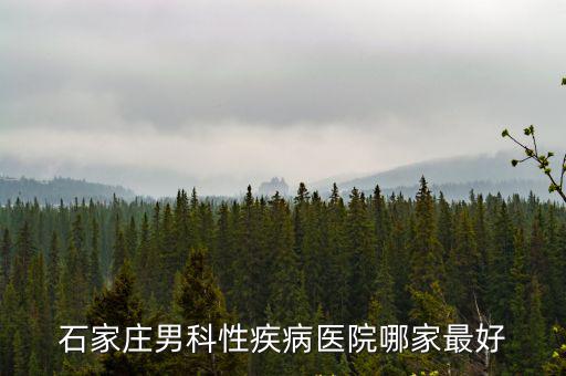 石家莊男科性疾病醫院哪家最好