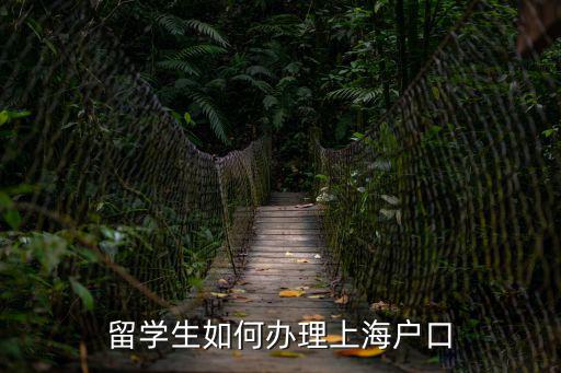 留學生上海落戶流程知乎，出國留學怎么把戶口留在上海