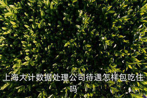 上海大計數據處理公司待遇怎樣包吃住嗎