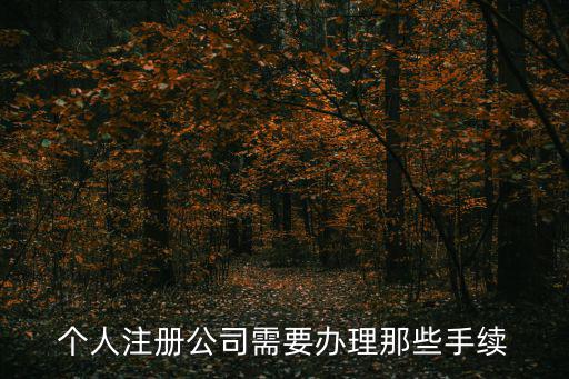 個人注冊公司需要辦理那些手續(xù)