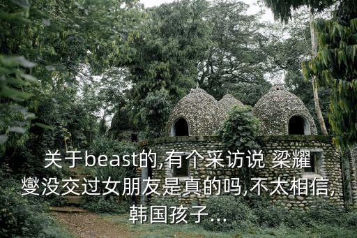 梁耀燮,韓國男藝人梁耀燮參加選美比賽被淘汰后復出