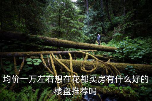 均價(jià)一萬(wàn)左右想在花都買(mǎi)房有什么好的樓盤(pán)推薦嗎