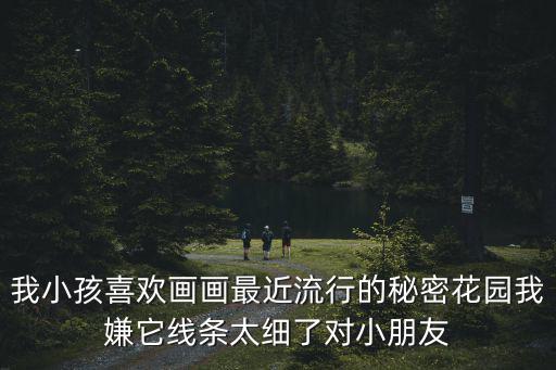 我小孩喜歡畫畫最近流行的秘密花園我嫌它線條太細(xì)了對小朋友