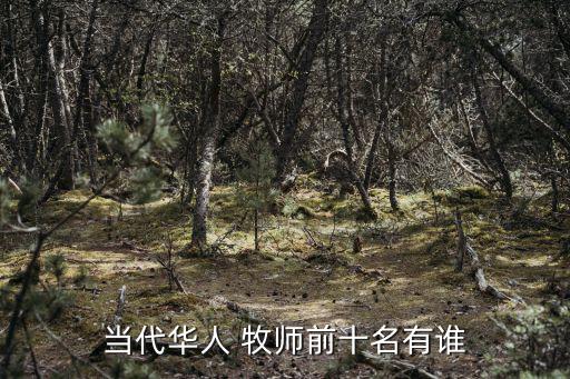 劉志雄牧師,第二個中國宗教改革先驅