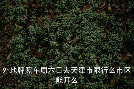 外地牌照車周六日去天津市限行么市區能開么