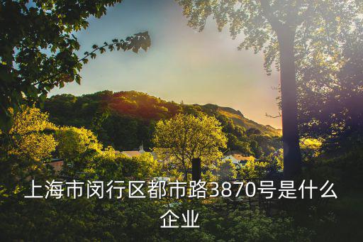 上海市閔行區都市路3870號是什么企業