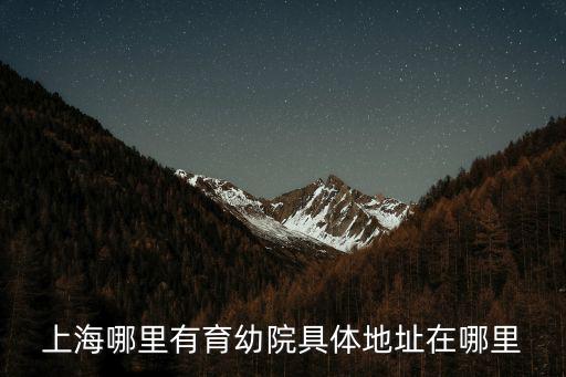 上海 劉紅，上海浦東是經濟特區嗎