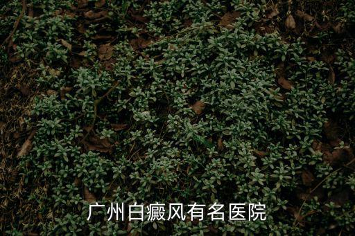 廣州瑤族頭療，藥王谷瑤浴這品牌是哪里的