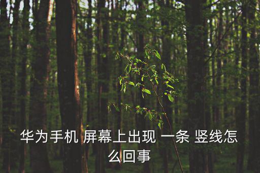 屏幕出現一條豎線,屏幕異常閃爍或因設備問題導致屏幕受影響