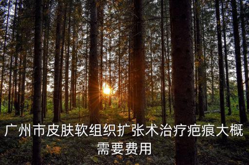 廣州市皮膚軟組織擴張術治療疤痕大概需要費用