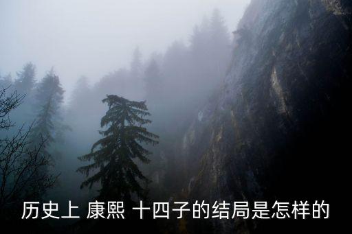 歷史上 康熙 十四子的結局是怎樣的