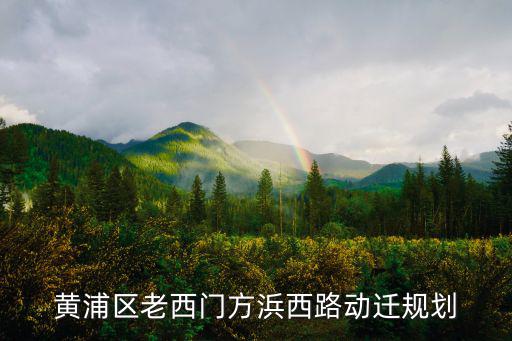 黃浦區老西門方浜西路動遷規劃