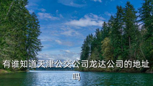 有誰知道天津公交公司龍達(dá)公司的地址嗎