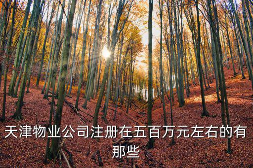天津物業公司注冊在五百萬元左右的有那些