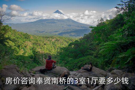 房價咨詢奉賢南橋的3室1廳要多少錢