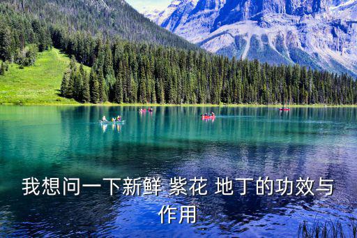 我想問一下新鮮 紫花 地丁的功效與作用
