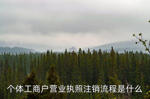 個體工商戶怎么注銷營業執照，個體工商戶如何注銷