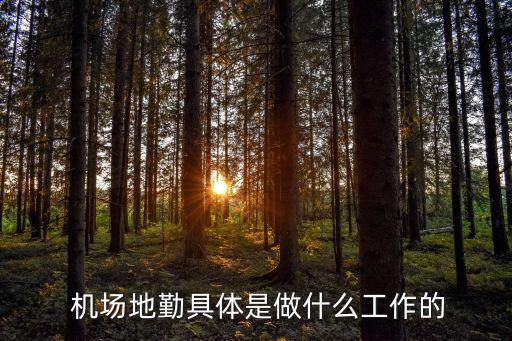  機場地勤具體是做什么工作的