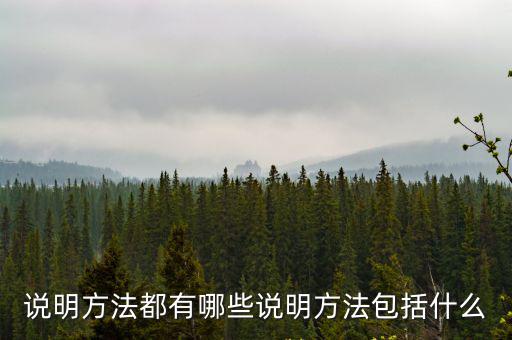 說明方法有什么,回顧（一）:投票日期（二）