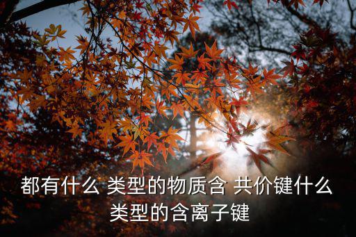 都有什么 類(lèi)型的物質(zhì)含 共價(jià)鍵什么 類(lèi)型的含離子鍵