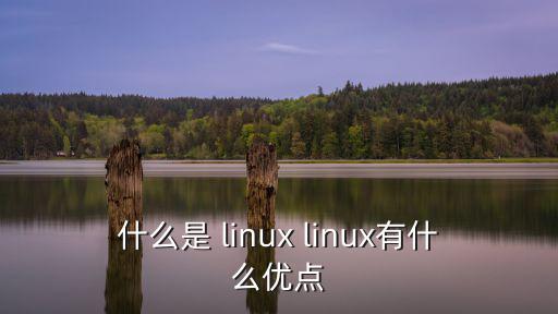 什么是 linux linux有什么優(yōu)點