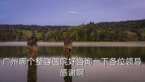 廣州哪個整容醫院好咨詢一下各位領導感謝啊