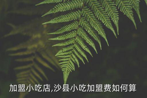 千元加盟小吃店,沙縣小吃加盟費如何算?