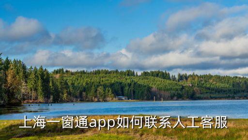 上海一窗通app如何聯系人工客服
