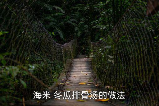 海米 冬瓜排骨湯的做法