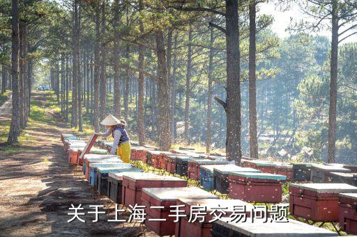 關于上海二手房交易問題