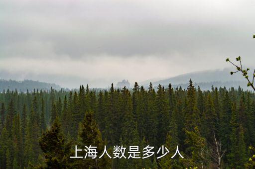 上海人數(shù)是多少人