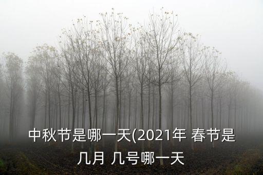 今年春節是幾號,春節自定義1:春節指漢字文化圈傳統農歷新年