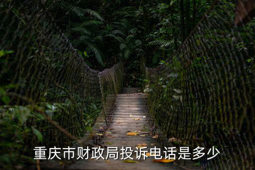 重慶市財政局投訴電話是多少