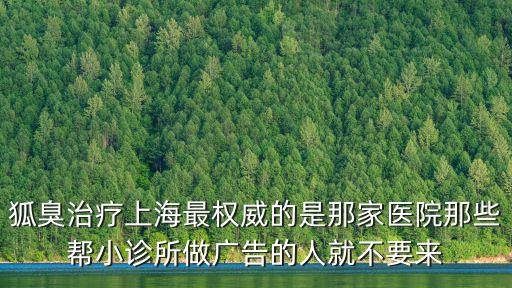 狐臭治療上海最權威的是那家醫院那些幫小診所做廣告的人就不要來