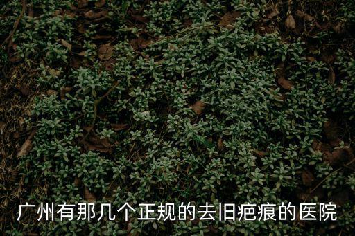 去除疤痕就詢廣州健膚挺好，廣州去疤哪里好