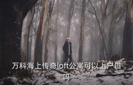 萬科海上傳奇loft公寓可以上戶口嗎