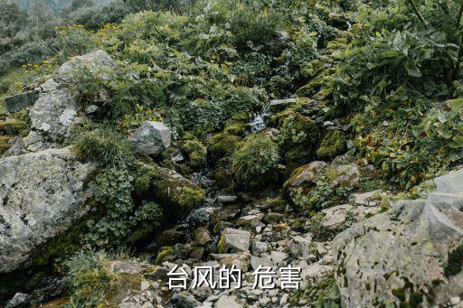 臺風危害,臺風危害中國東南沿海地區水災最嚴重