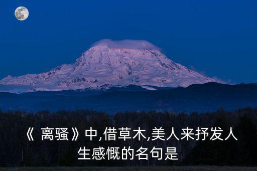 離騷鑒賞,第二集:唯草木散，美恐亡的名句