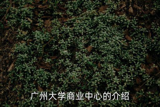 廣州大學商業中心的介紹