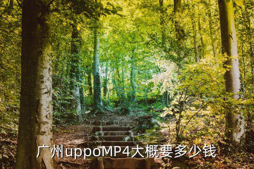 廣州uppoMP4大概要多少錢
